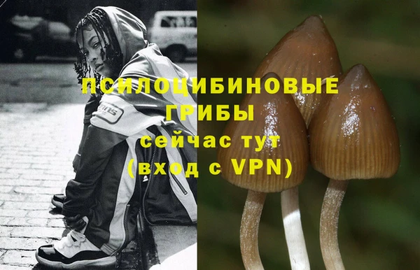 дмт Балабаново