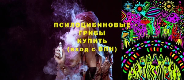 мдпв Балахна
