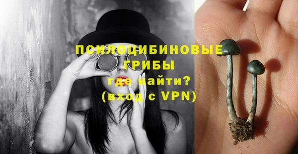 мдпв Балахна